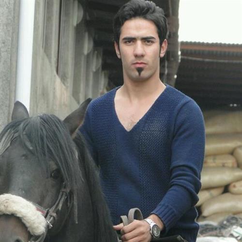 علی  &nbsp;حسینی 