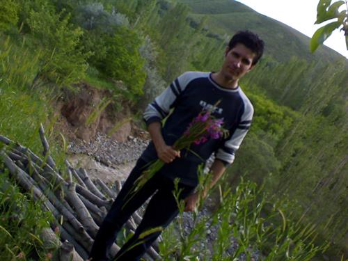 abolfazl&nbsp;miyanaji