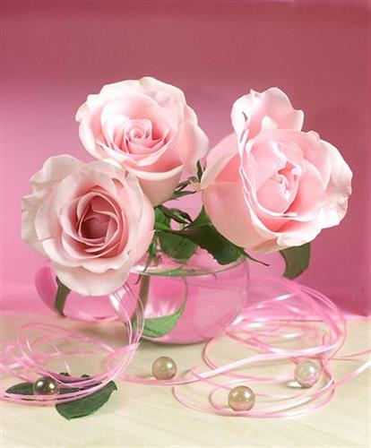 sasan.s5252@yahoo.com&nbsp;...