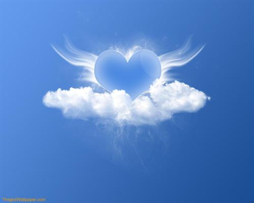 fereshteh&nbsp;azracksh