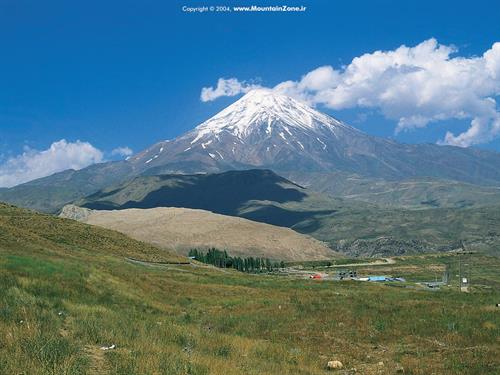 رضا&nbsp;محمدی