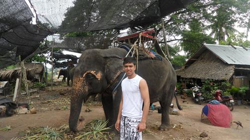 mohamad reza&nbsp;vejahati