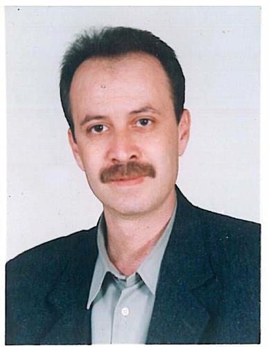 mehdi&nbsp;erfani