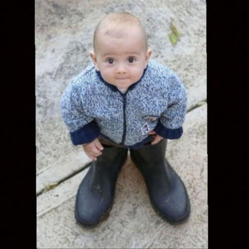 داوود&nbsp;امیری