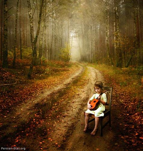 shahrzad&nbsp;gheseha