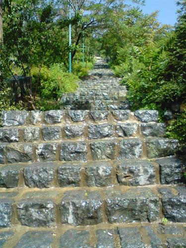 mohammad&nbsp;khaleghi