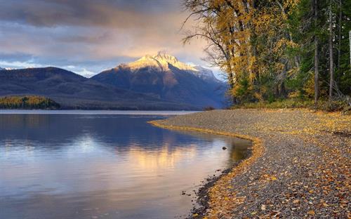 امید&nbsp;هاشمی