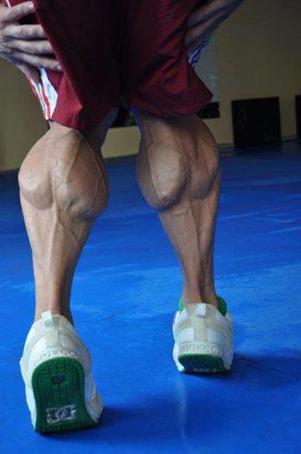 saman&nbsp;afsharian