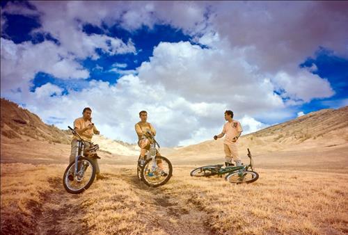 mead&nbsp;dare shori