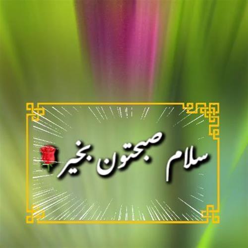 ali&nbsp;rad