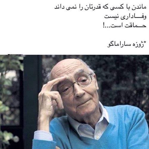 شایان&nbsp;شریف