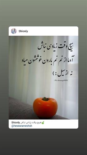 یاسر&nbsp;محمدی