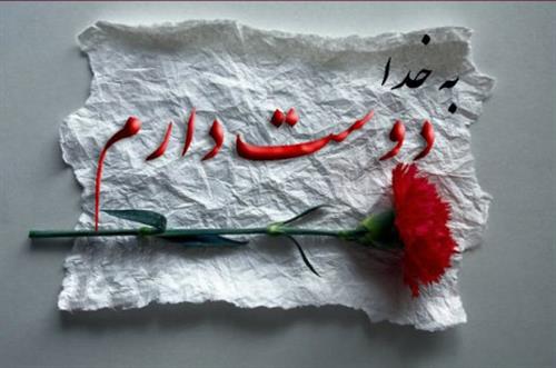 مرتضی&nbsp;محمدی