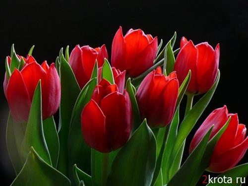 amir salar&nbsp;salehi