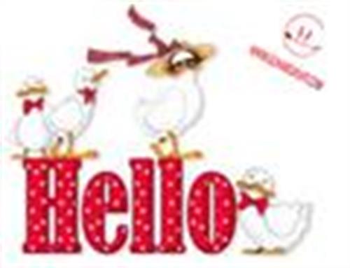 amirreza&nbsp;ghahraman