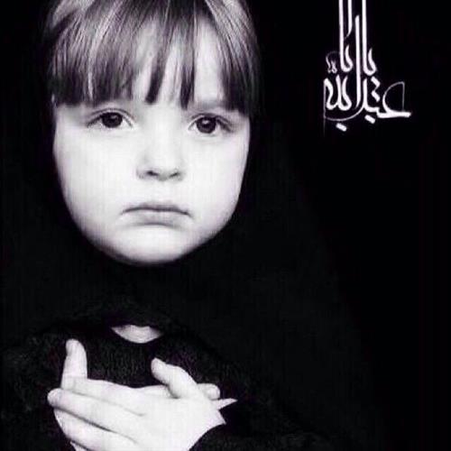 سيد حميد رضا&nbsp;حسيني