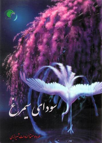 mehrdad &nbsp;motamedi