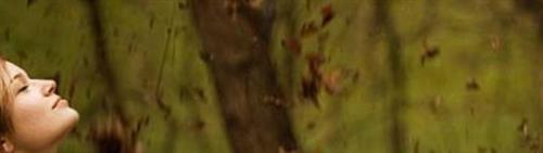 farzad&nbsp;farahani