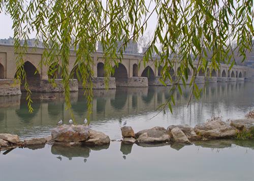 shahram33&nbsp;heeydari