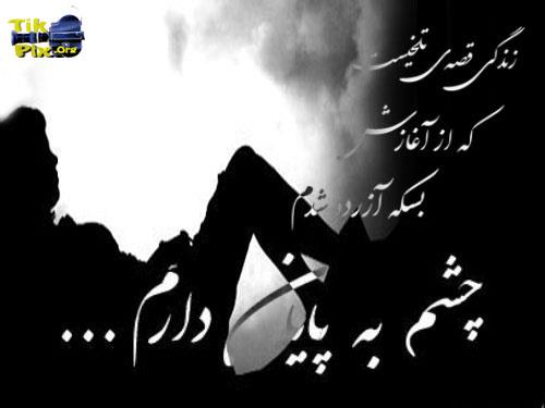 امیر حسین&nbsp;شکوهی