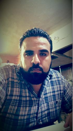 حامد&nbsp;فیضی