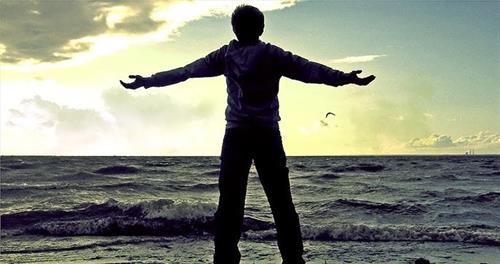 h a a m o o n&nbsp;shakiba