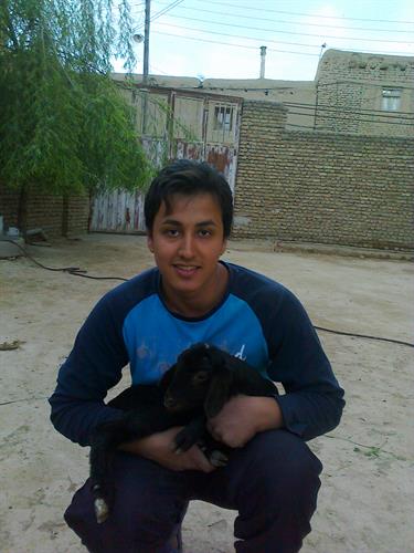 javad&nbsp;goli