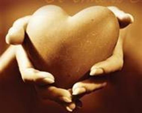 maryam&nbsp;moghadam