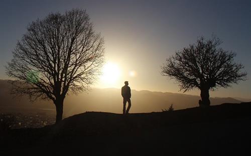 shayan&nbsp;faramarzi