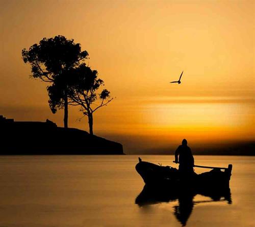 farimah&nbsp;mohamadi