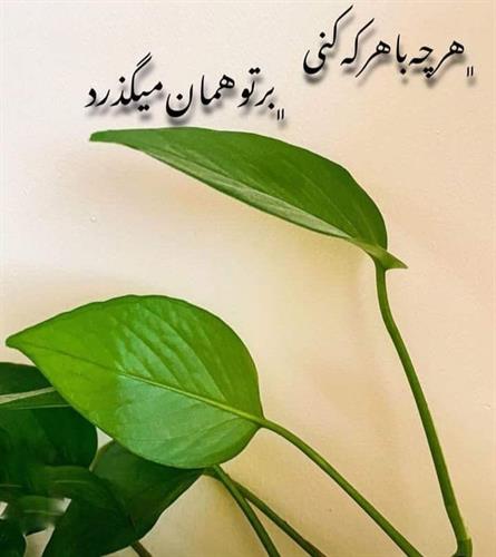 reza&nbsp;felan vajeb nist