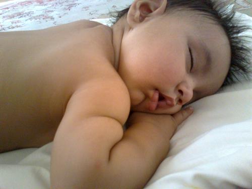 mohammadreza&nbsp;shoja