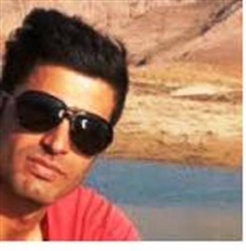 رضا &nbsp;حمیدی 