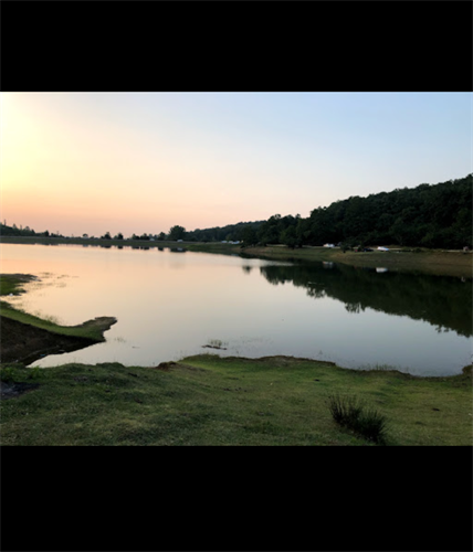 مریم&nbsp;اسدی