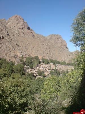 ehsan&nbsp;ehsan