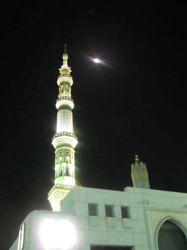 morteza&nbsp;keshavarz