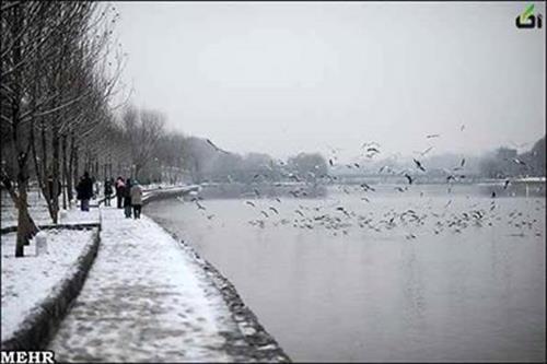 behzad&nbsp;.............