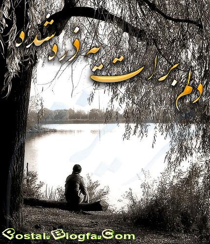 shabam siyahe vo bas akhe in eshghe bud ya ghafas&nbsp;vay az havas eyvay az havas