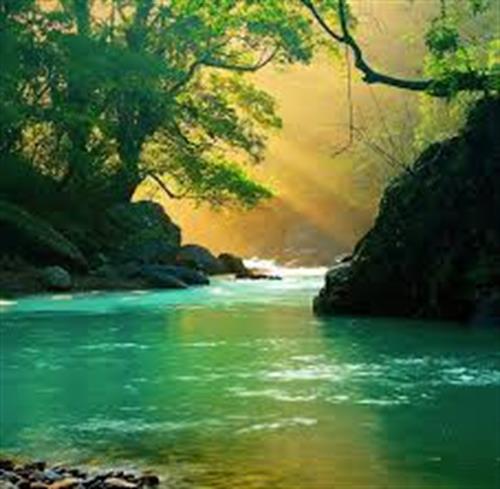 شهاب&nbsp;راد