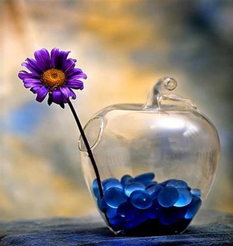 عليرضا&nbsp;عليرضا