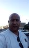 hamed