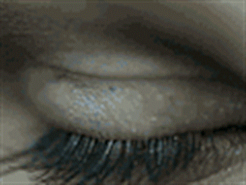 سحر&nbsp;سهرابی