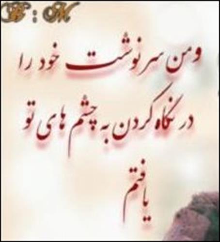 tofan&nbsp;___________
