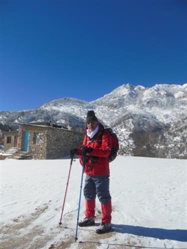 محمود&nbsp;زمانیان