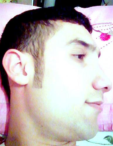 ارمان&nbsp;محبی