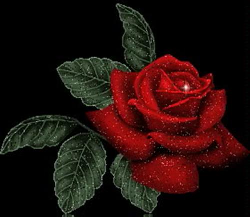 hadi&nbsp;..........