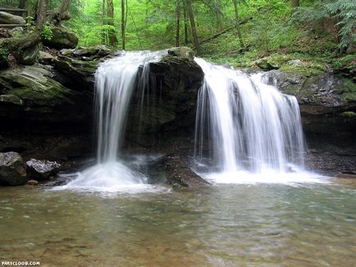 mohsen&nbsp;sade del