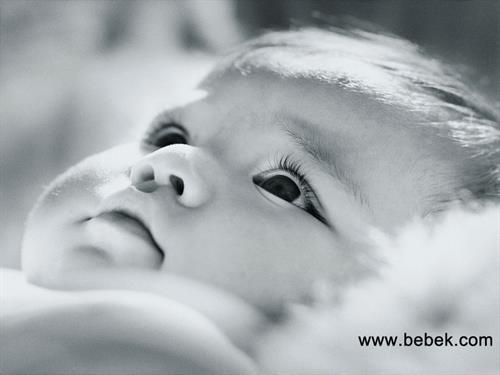 yousoof&nbsp;bikhial