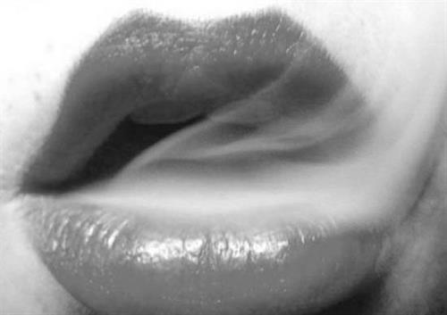 pante  a&nbsp;arastiara