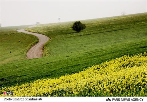 hamid&nbsp;mohammadi